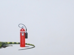 Dragon 1620 x 850