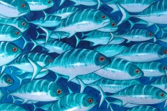 Fish 1750 x 800 SOLD
