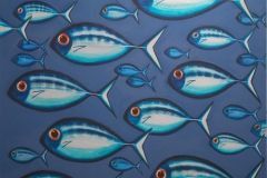Fish 800 x 800