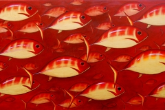 goldfish 1750 x 900 SOLD