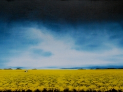 Canola 1500 x 800