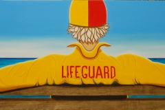 Lifeguard III 1750 x 510