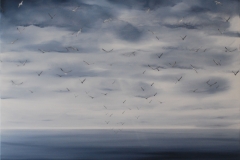 Gulls 1000 x 1000