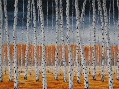 Autumn birches 1700 x 950