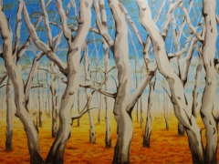 Gum trees 1750 x 900