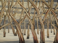 Snow gums 1550 x 800