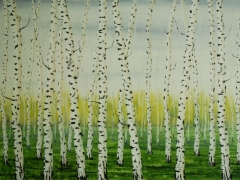 Summer birches for Carol 1180 x 850