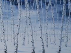 WInter birches (the lookouts) 1750 x 900
