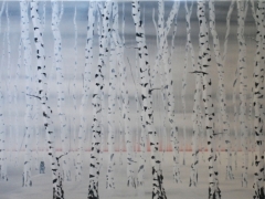 Winter Birches dawn 1500 x 750
