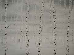 Winter birches pale light 1180 x 850