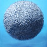 Fish ball 850 x 1000